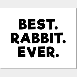 Best Rabbit Ever Posters and Art